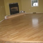 Living Room Addition in Feeding Hills
